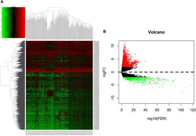 Integrated Analysis of lncRNA–Mediated ceRNA Network in Lung Adenocarcinoma